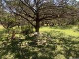 39 Jim Dalrymple Dr - Photo 8