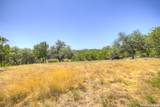 224 Sendera Way - Photo 14