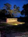 140 Syrah St - Photo 18