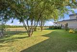 117 Whitewing - Photo 27