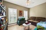 117 Whitewing - Photo 5