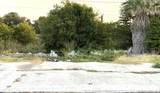 6711 Brothers Ln - Photo 4