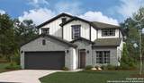 13410 St Jerome Pl - Photo 3