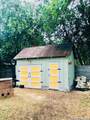339 Washington Ave - Photo 12