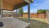 4925 Hallies Garden - Photo 17
