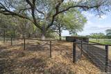 351 Line Camp Loop - Photo 29