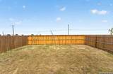 11625 Dog Rose - Photo 30