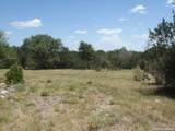 650 Shady Holw - Photo 12