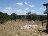 650 Shady Holw - Photo 6