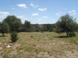 650 Shady Holw - Photo 7