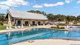 34806 Toms Lookout - Photo 7