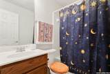3827 Mistflower Dr - Photo 13