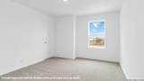 2122 Giant Cactus - Photo 15