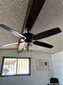 219 Burcham Ave - Photo 42