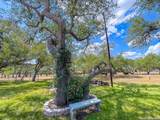 2815 Orange Ln - Photo 36