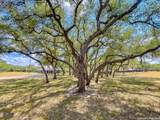 2815 Orange Ln - Photo 45
