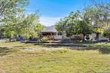 12709 Cholla Ln - Photo 15