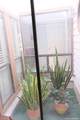 6006 Shady Creek - Photo 8