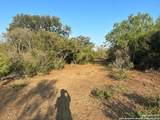 00000 Adkins-St. Hedwig Road - Photo 5