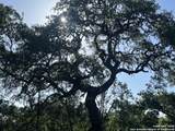 0 Rolling Creek - Photo 11