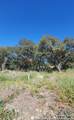 LOT 18 Swans Landing - Photo 13