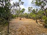 30806 Bulverde Hills Dr - Photo 15