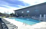 4300 State Highway 16 #29 - Photo 5