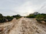359 Bear Springs Trail - Photo 5