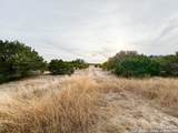 359 Bear Springs Trail - Photo 8