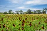 505 Fm 473 - Photo 46