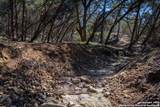 837 Crystal Peak - Photo 24