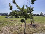 11875 Ware Seguin Rd - Photo 24