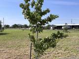 11875 Ware Seguin Rd - Photo 31