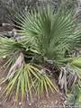 0 Roaring Creek Lot 48 - Photo 3