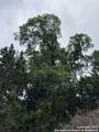 0 Roaring Creek Lot 48 - Photo 4