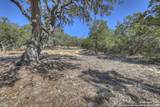 995 Five Oaks - Photo 30