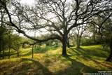 797 Glendale Rd - Photo 7