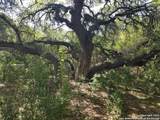 9200 Park Road 37 - Photo 39