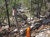 9200 Park Road 37 - Photo 41