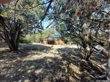 206 Sir Winston Dr - Photo 29
