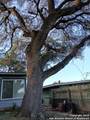 714 Blakeley - Photo 26