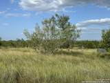 TRACT 59 Fm 470 - Photo 4