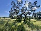 TRACT 116 Winans Creek Ranch - Photo 12