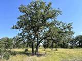 TRACT 116 Winans Creek Ranch - Photo 16