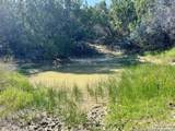 TRACT 116 Winans Creek Ranch - Photo 9