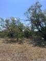 6032 County Road 405 - Photo 3