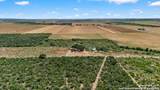 281 County Road 265 - Photo 14