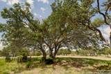 1303 Taurus Lane - Photo 12