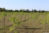 245 County Road 356 - Photo 16