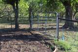 245 County Road 356 - Photo 17